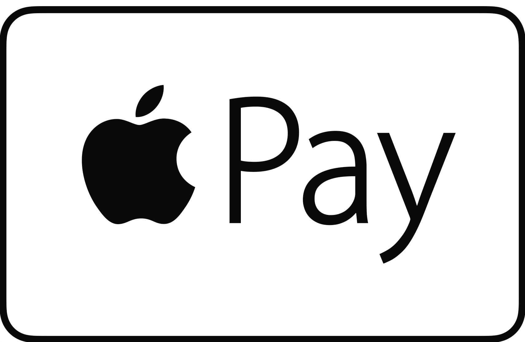 accepted payment apple pay